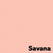 Krāsains papīrs A4 Image 80g/500lp Colour Savanna