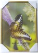 Foto rāmis 21 x 30cm plastika zelts 
