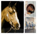Mape A4 ar gumiju Horses 